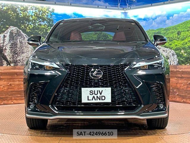 Lexus NX 2023-07 8315204-13