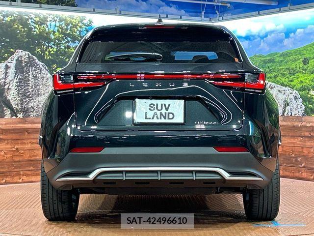 Lexus NX 2023-07 8315204-14