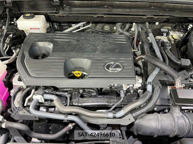 Lexus NX 2023-07 8315204-17