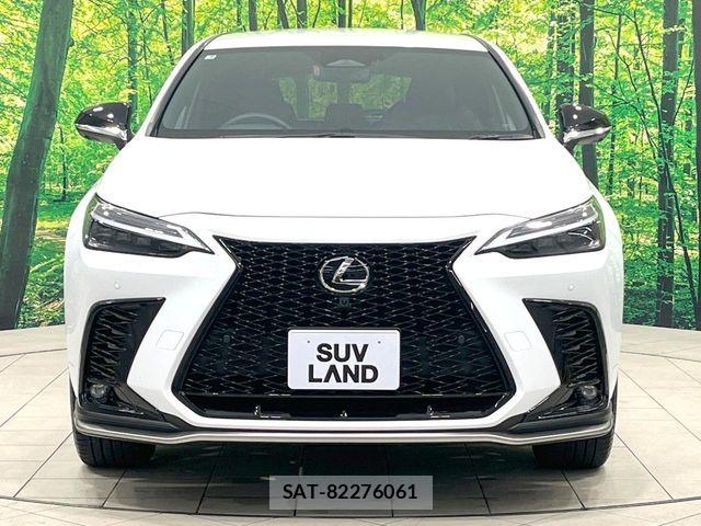 Lexus NX 2025-08 8336583-14