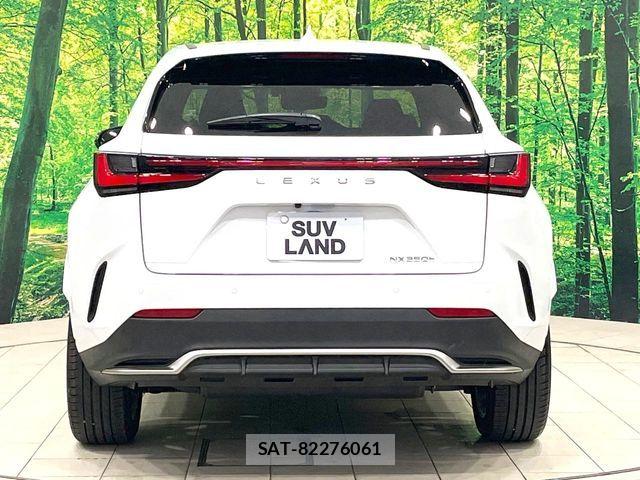 Lexus NX 2025-08 8336583-15