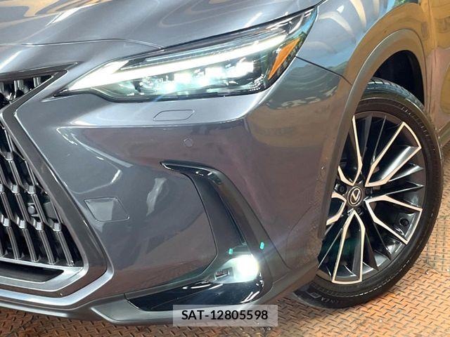 Lexus NX 2023-09 8336585-11