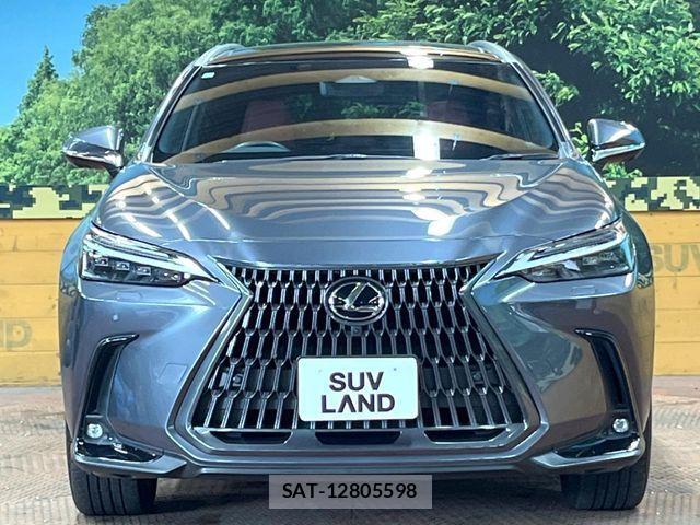 Lexus NX 2023-09 8336585-13