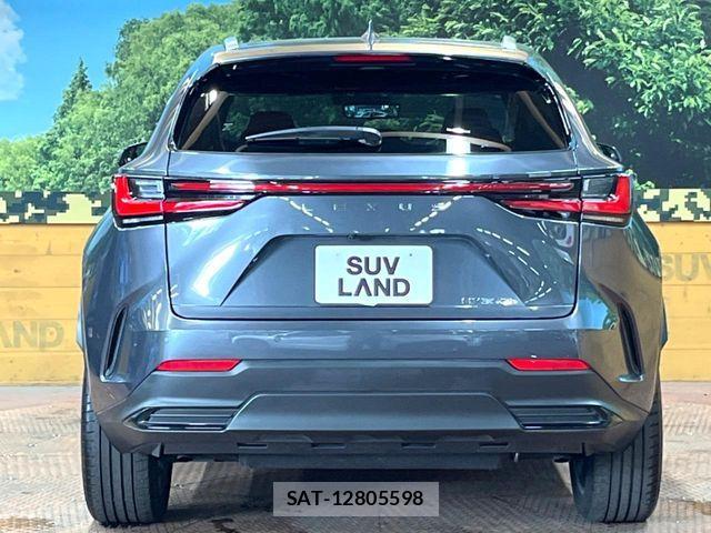 Lexus NX 2023-09 8336585-14