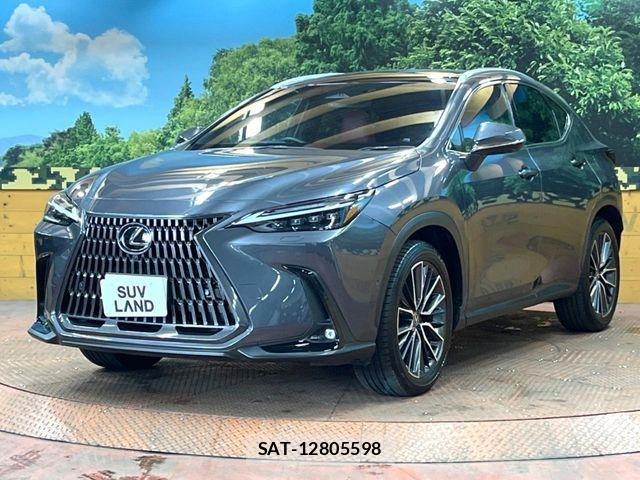 Lexus NX 2023-09 8336585-15