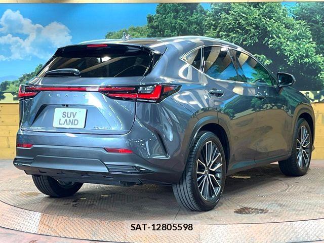 Lexus NX 2023-09 8336585-16