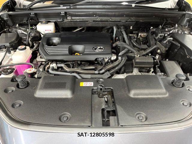 Lexus NX 2023-09 8336585-17