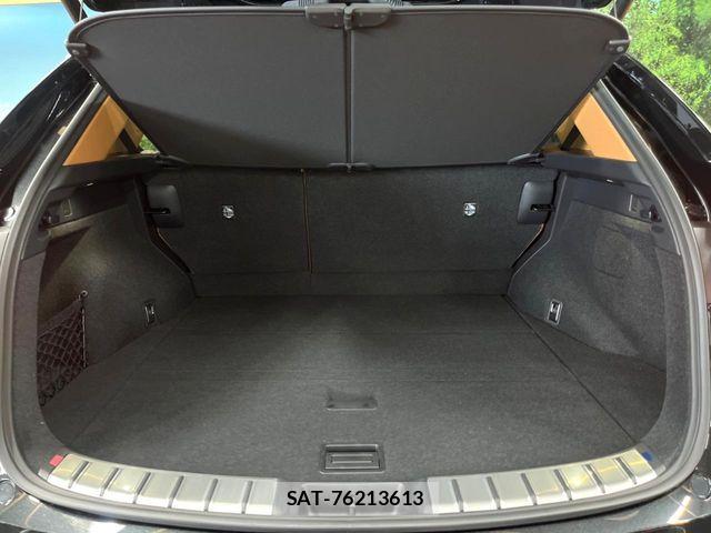 Lexus NX 2025-06 8336582-9