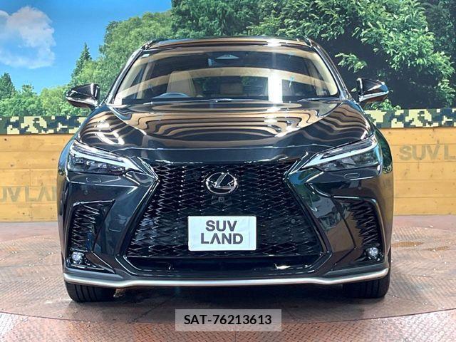 Lexus NX 2025-06 8336582-13