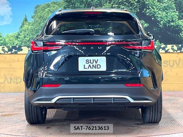 Lexus NX 2025-06 8336582-14