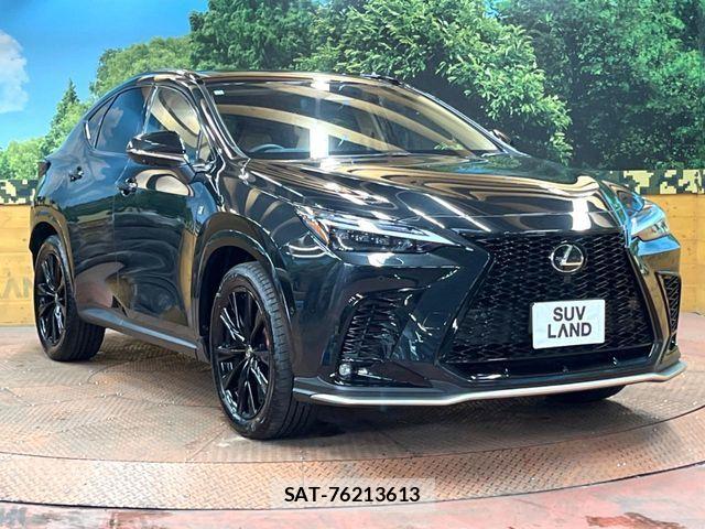 Lexus NX 2025-06 8336582-15