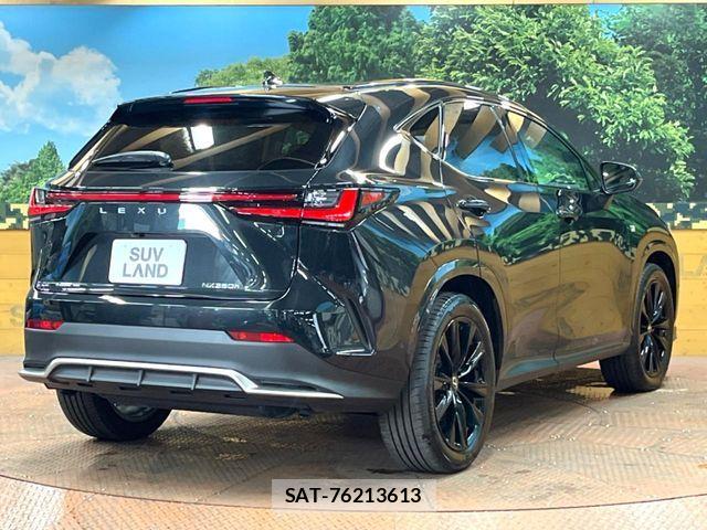 Lexus NX 2025-06 8336582-16