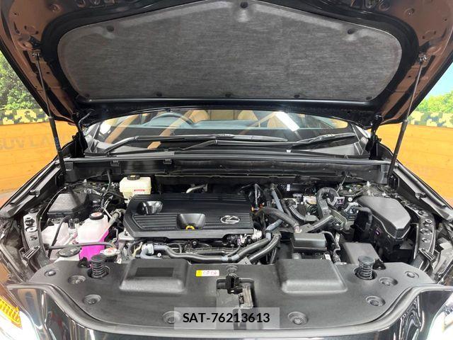 Lexus NX 2025-06 8336582-17