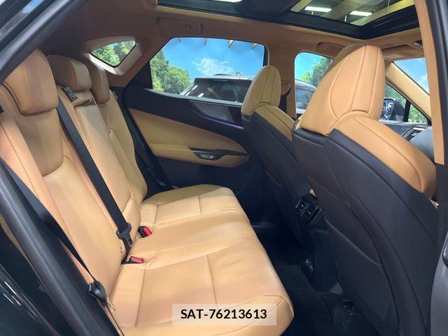 Lexus NX 2025-06 8336582-8