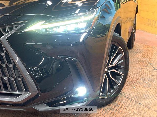 Lexus NX 2022-06 8336584-11