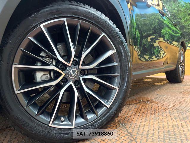 Lexus NX 2022-06 8336584-12