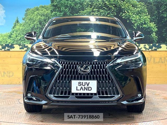 Lexus NX 2022-06 8336584-13