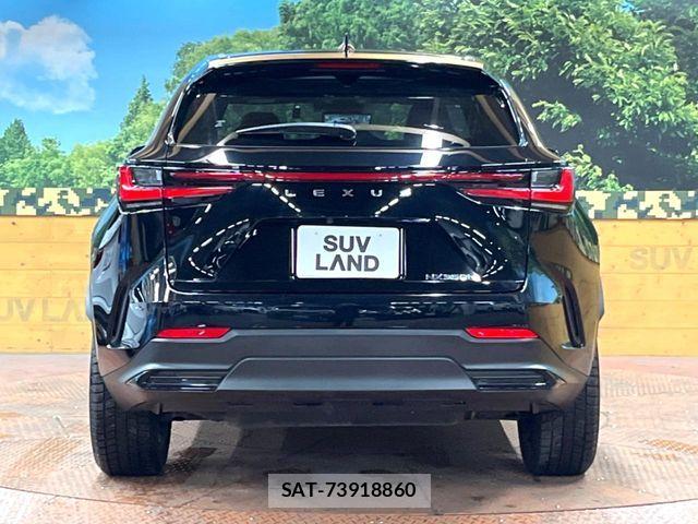Lexus NX 2022-06 8336584-14