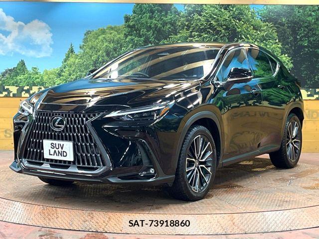 Lexus NX 2022-06 8336584-15