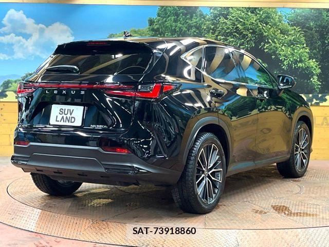 Lexus NX 2022-06 8336584-16