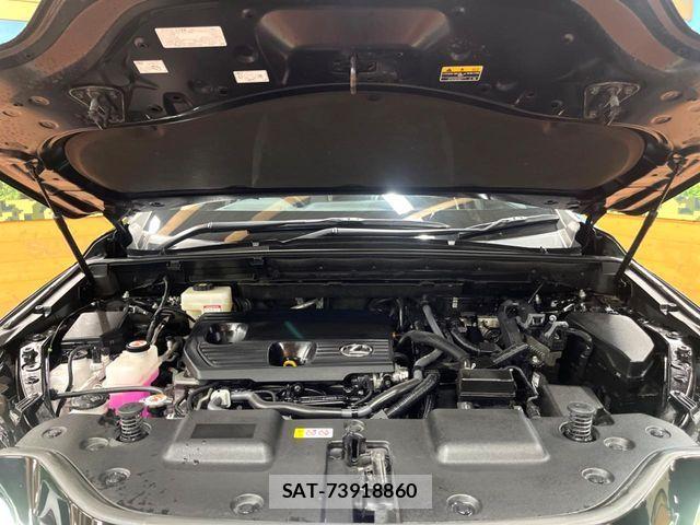 Lexus NX 2022-06 8336584-17