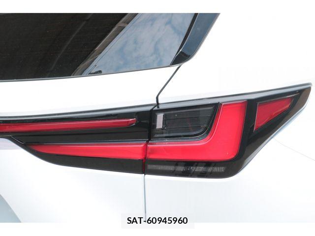 Lexus NX 2024-03 8354856-14