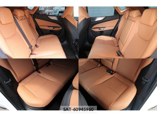 Lexus NX 2024-03 8354856-19