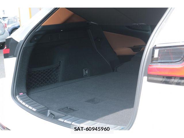 Lexus NX 2024-03 8354856-29