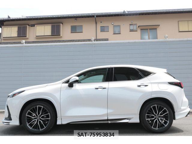 Lexus NX 2024-04 8354859-12