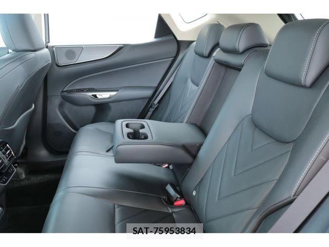 Lexus NX 2024-04 8354859-20