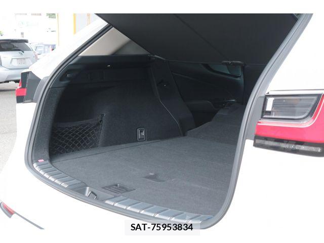 Lexus NX 2024-04 8354859-28