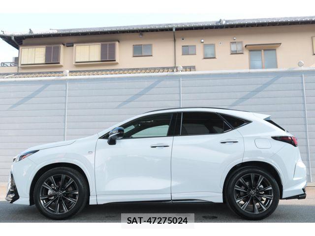 Lexus NX 2023-06 8354855-12