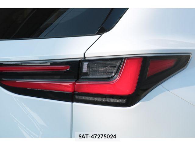 Lexus NX 2023-06 8354855-14