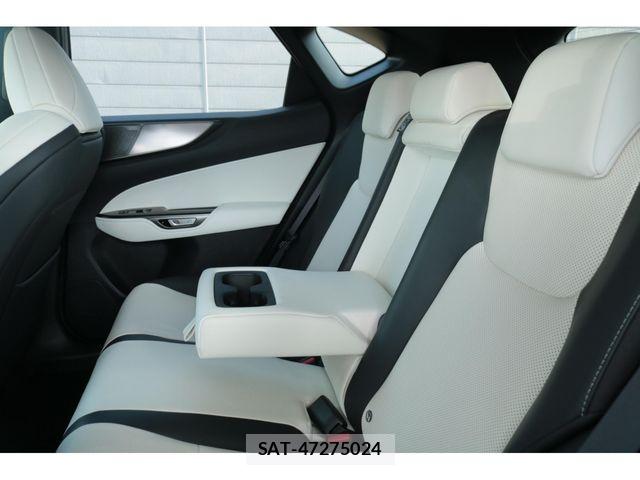 Lexus NX 2023-06 8354855-20