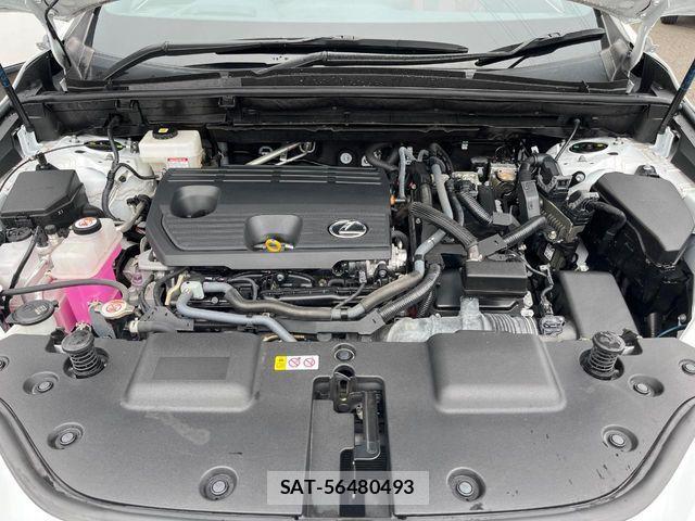Lexus NX 2023-09 8354858-17