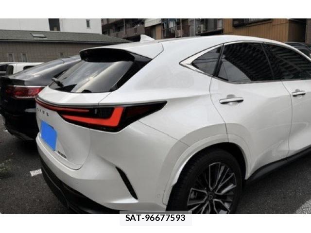 Lexus NX 2023-10 8366775-14