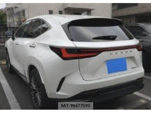 Lexus NX 2023-10 8366775-15