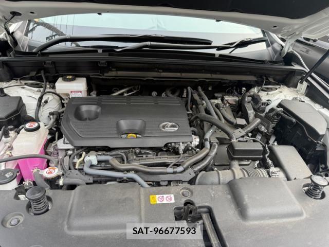 Lexus NX 2023-10 8366775-20