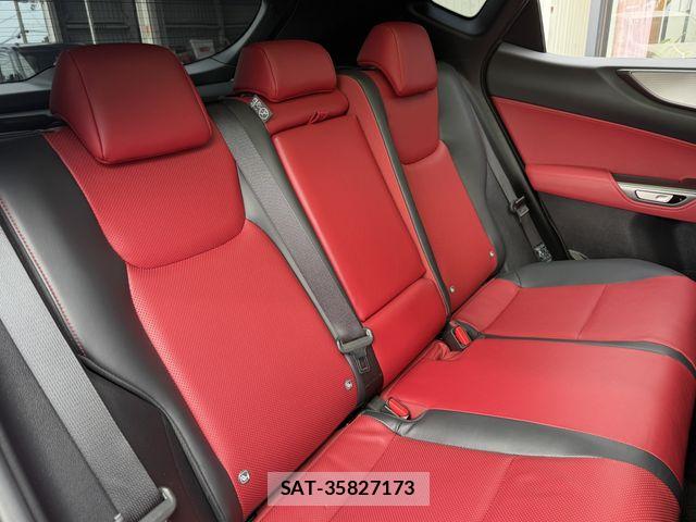 Lexus NX 2024-10 8366771-22