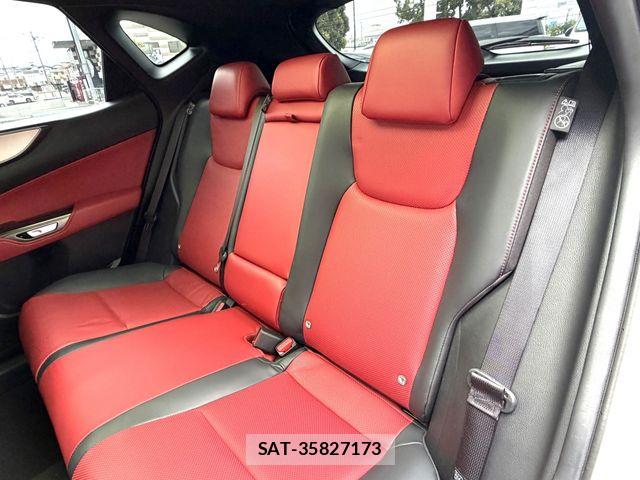 Lexus NX 2024-10 8366771-24
