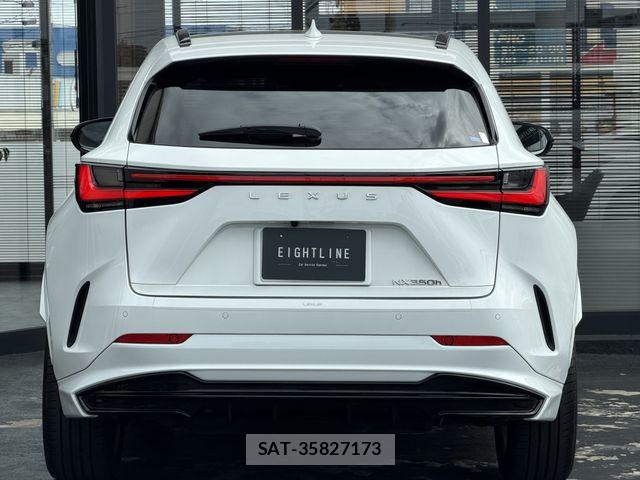Lexus NX 2024-10 8366771-6