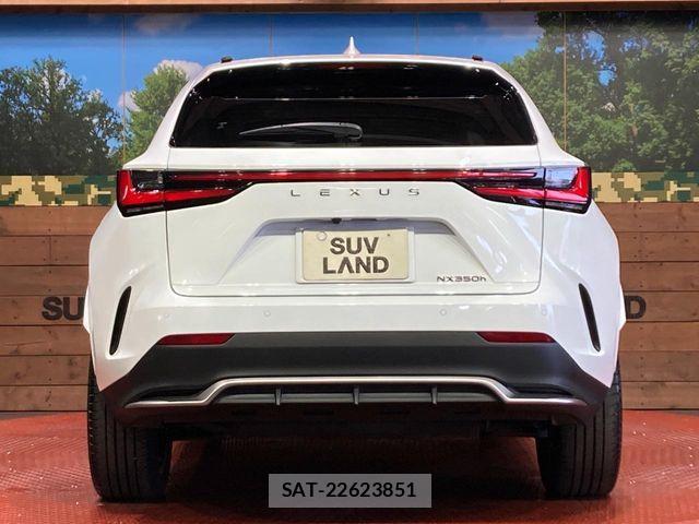 Lexus NX 2024-01 8366769-14