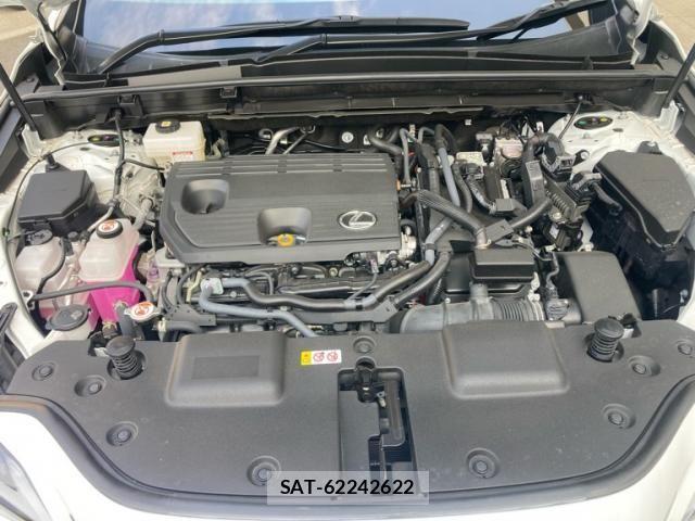 Lexus NX 2024-09 8366767-27