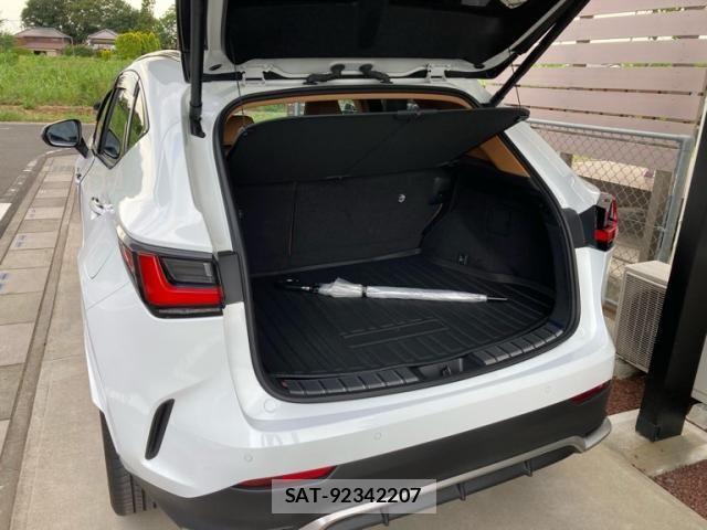 Lexus NX 2025-04 8366768-10
