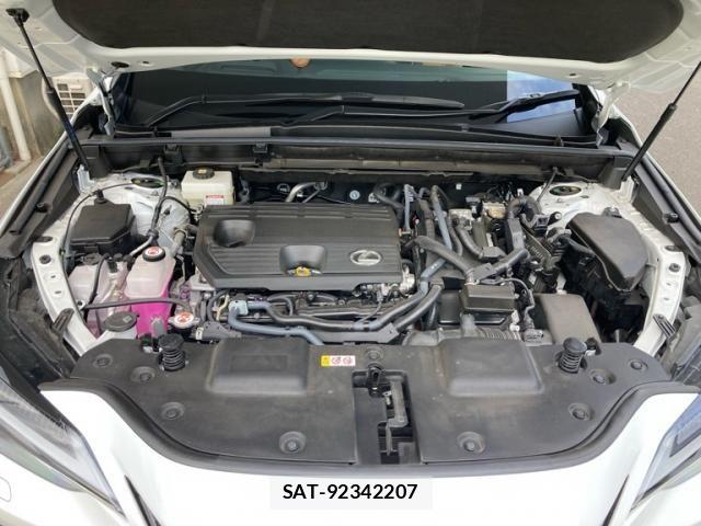 Lexus NX 2025-04 8366768-12