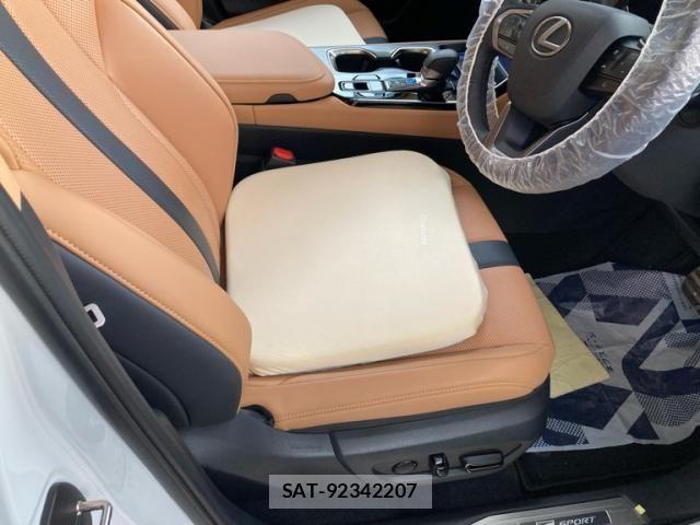 Lexus NX 2025-04 8366768-19