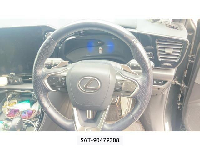 Lexus NX 2023-09 8438358-19