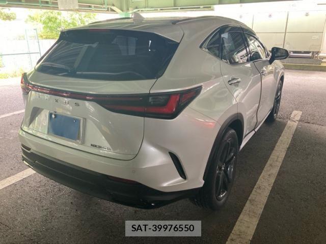 Lexus NX 2023-10 8438347-1
