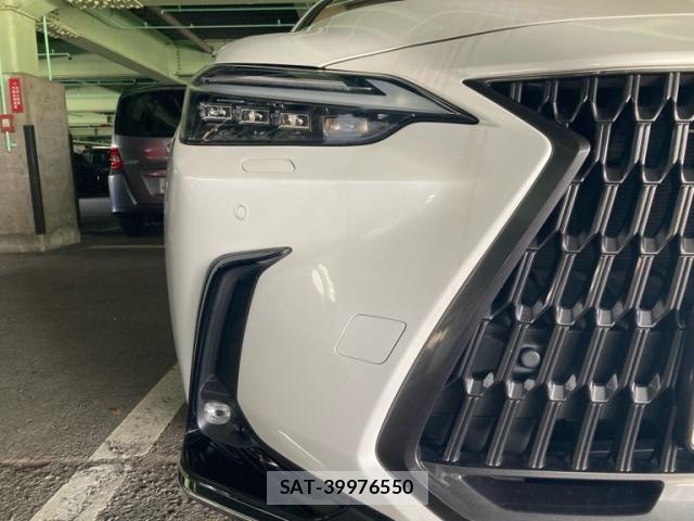 Lexus NX 2023-10 8438347-25