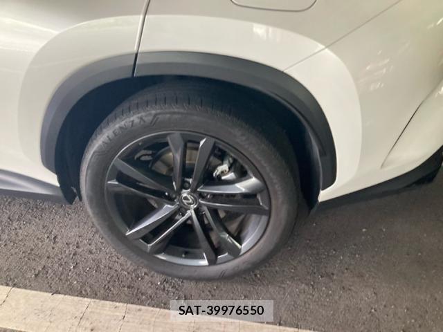 Lexus NX 2023-10 8438347-2